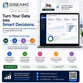 Dreamz Tally data analytics dashboard with sales and purchase insights